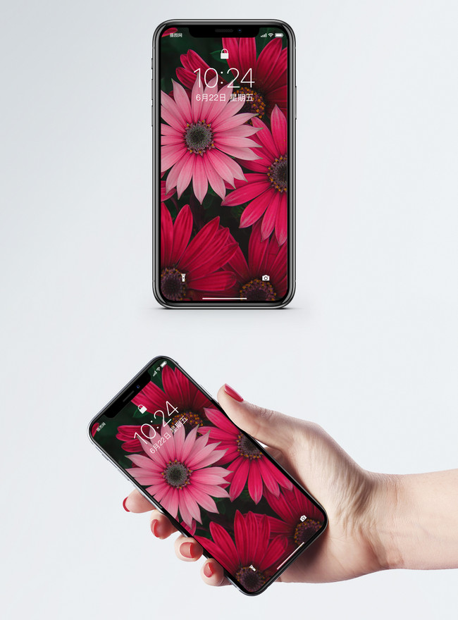 赤い花の携帯電話の壁紙イメージ 背景 Id Prf画像フォーマットjpg Jp Lovepik Com