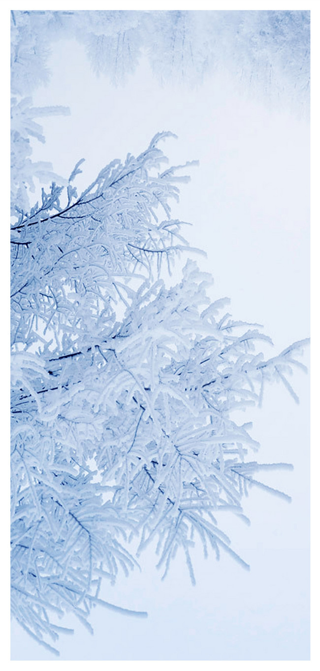 冬の携帯壁紙イメージ 背景 Id Prf画像フォーマットjpg Jp Lovepik Com