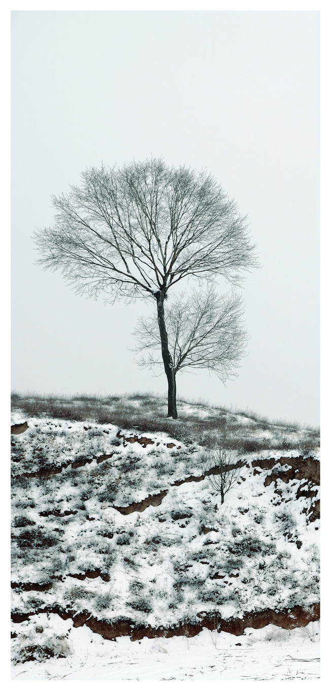 冬景色の携帯電話の壁紙イメージ 背景 Id Prf画像フォーマットjpg Jp Lovepik Com
