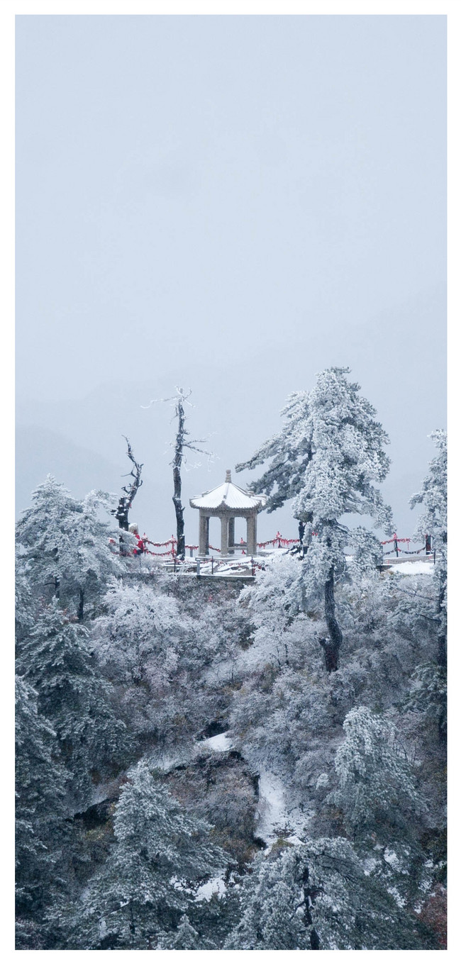 木の雪景色の携帯壁紙イメージ 背景 Id Prf画像フォーマットjpg Jp Lovepik Com
