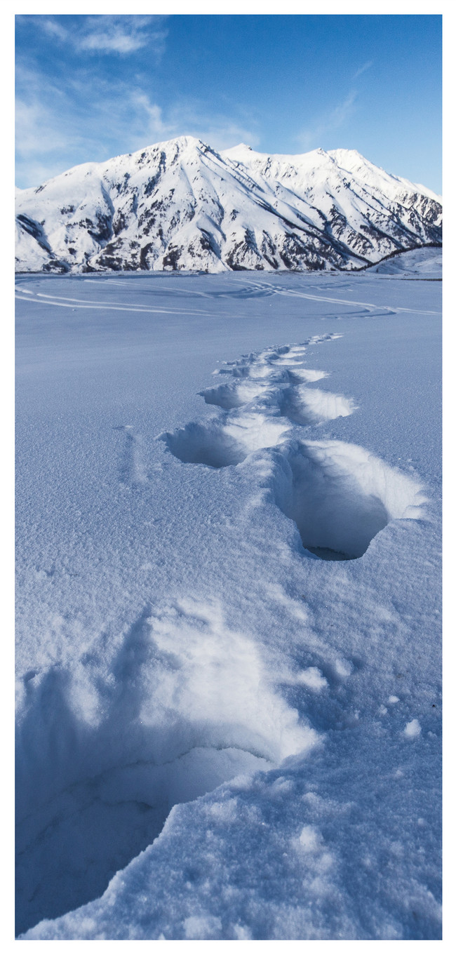 冬季雪地手機壁紙圖片素材 Jpg圖片尺寸1125 2436px 高清圖片 Zh Lovepik Com