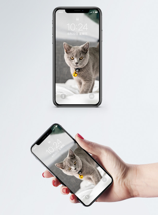 猫の携帯電話の壁紙イメージ 背景 Id Prf画像フォーマットjpg Jp Lovepik Com