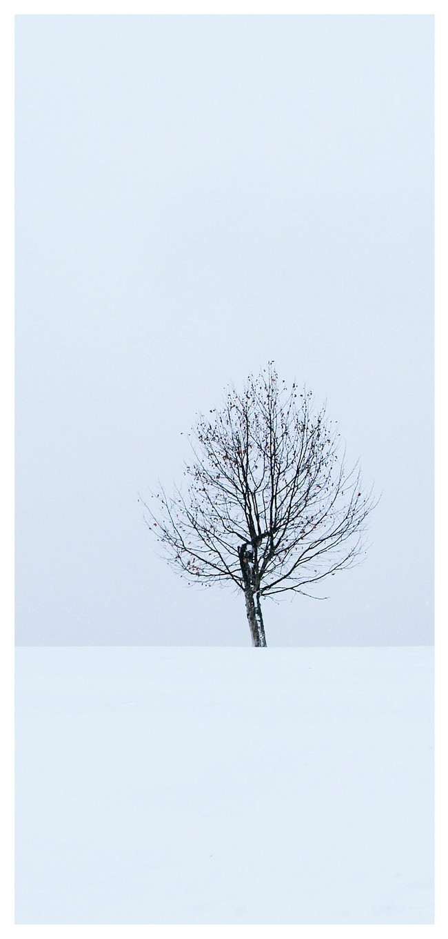 冬の雪の携帯電話の壁紙イメージ 背景 Id Prf画像フォーマットjpg Jp Lovepik Com