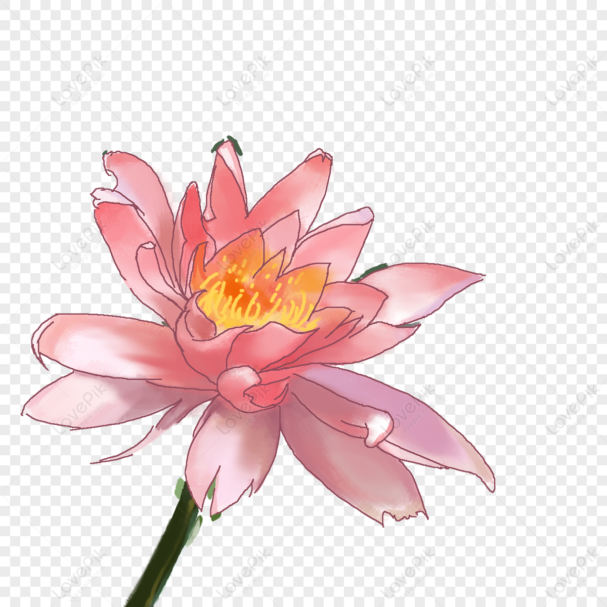 A Lotus Flower PNG Transparent Background And Clipart Image For Free  Download - Lovepik | 400174550