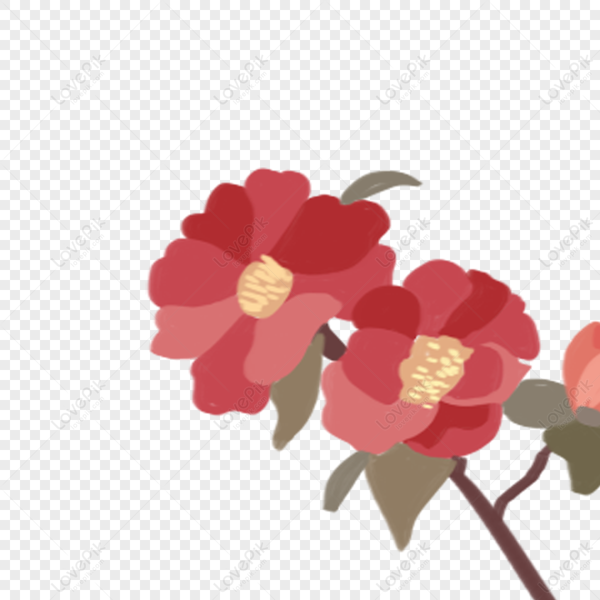 A Red Flower Light Red Flowers Red Flower Transparent Png Transparent Background And Clipart