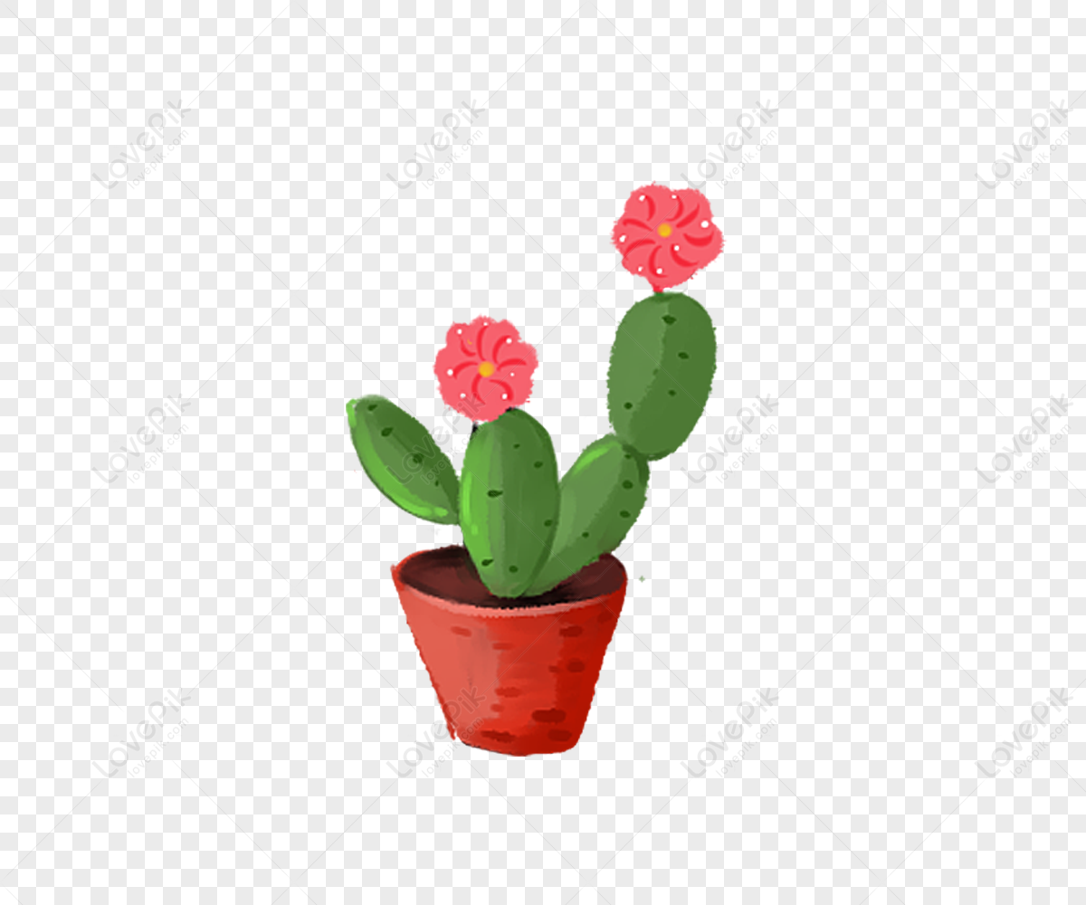 cactus flower png