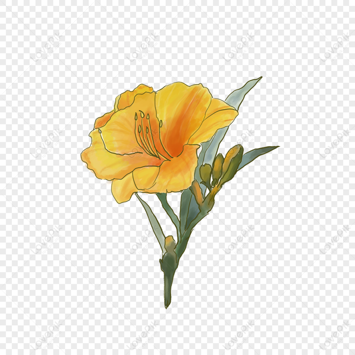 Flor Amarilla PNG Imágenes Gratis - Lovepik