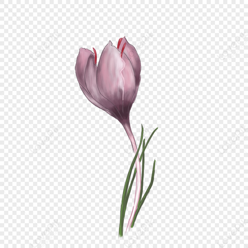 A Flower PNG Image And Clipart Image For Free Download - Lovepik ...