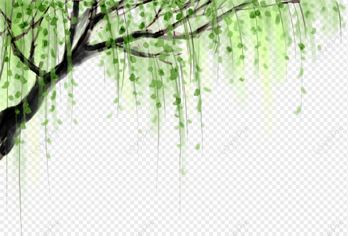 willow trees clipart