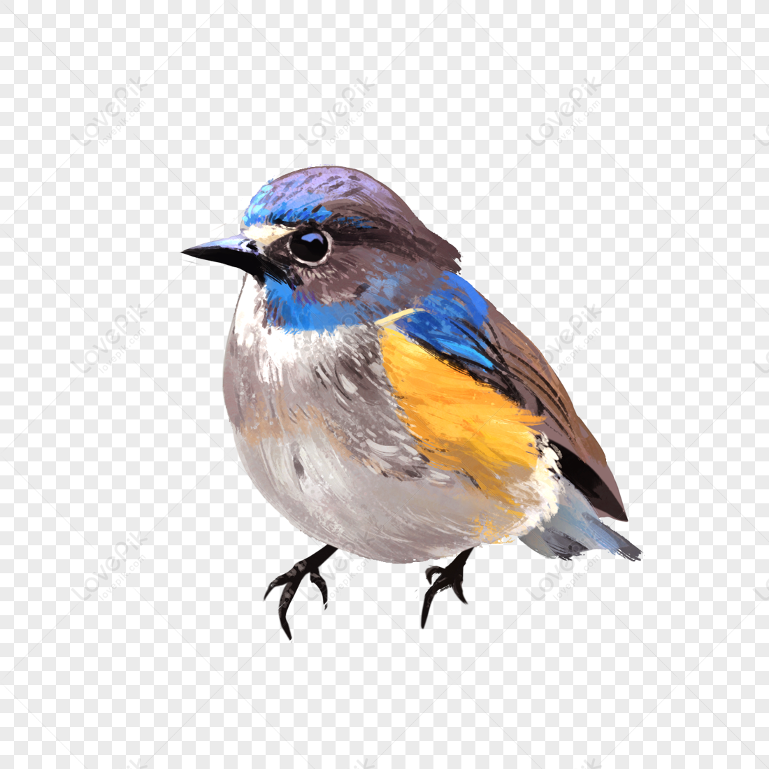 鳥兒PNG圖案素材免費下載，可愛卡通圖片，尺寸1100 × 1100px - Lovepik