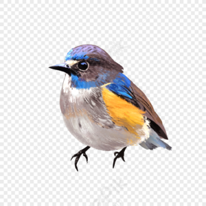 Birds PNG Images With Transparent Background | Free Download On Lovepik