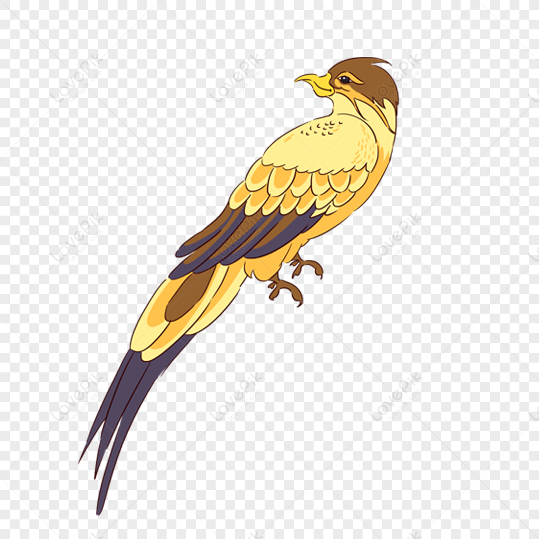 Maya Bird Clipart Images