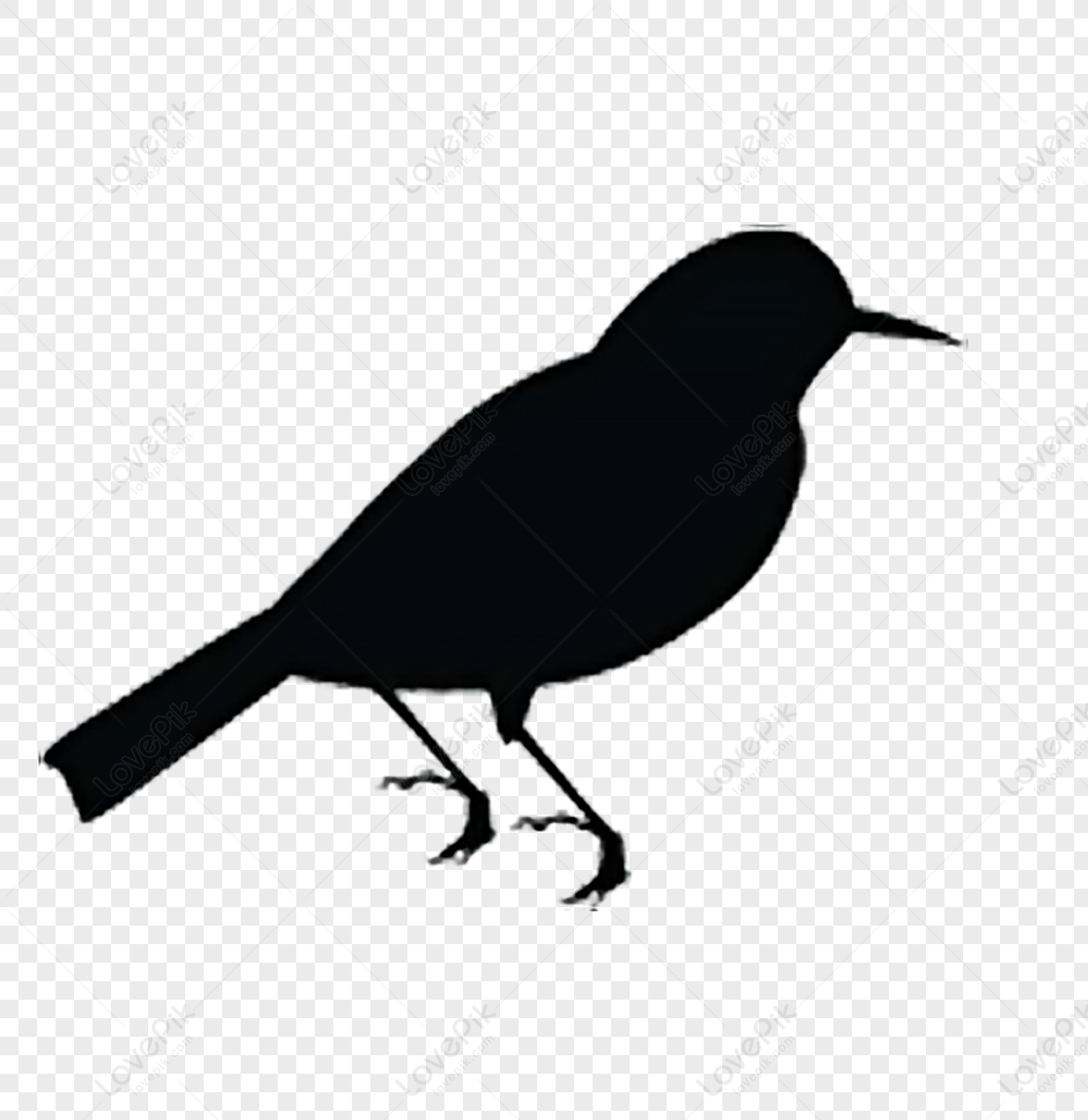 bird silhouette clip art free