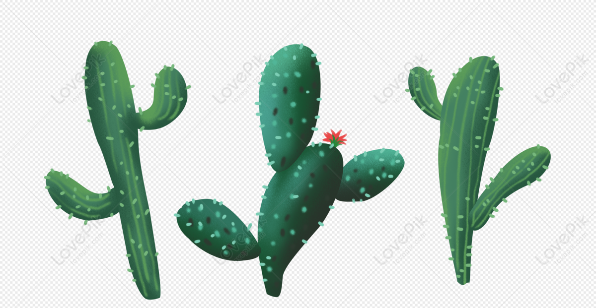 Transparent Png Svg Vector File - Cacto Desenho Png,Cacti Png