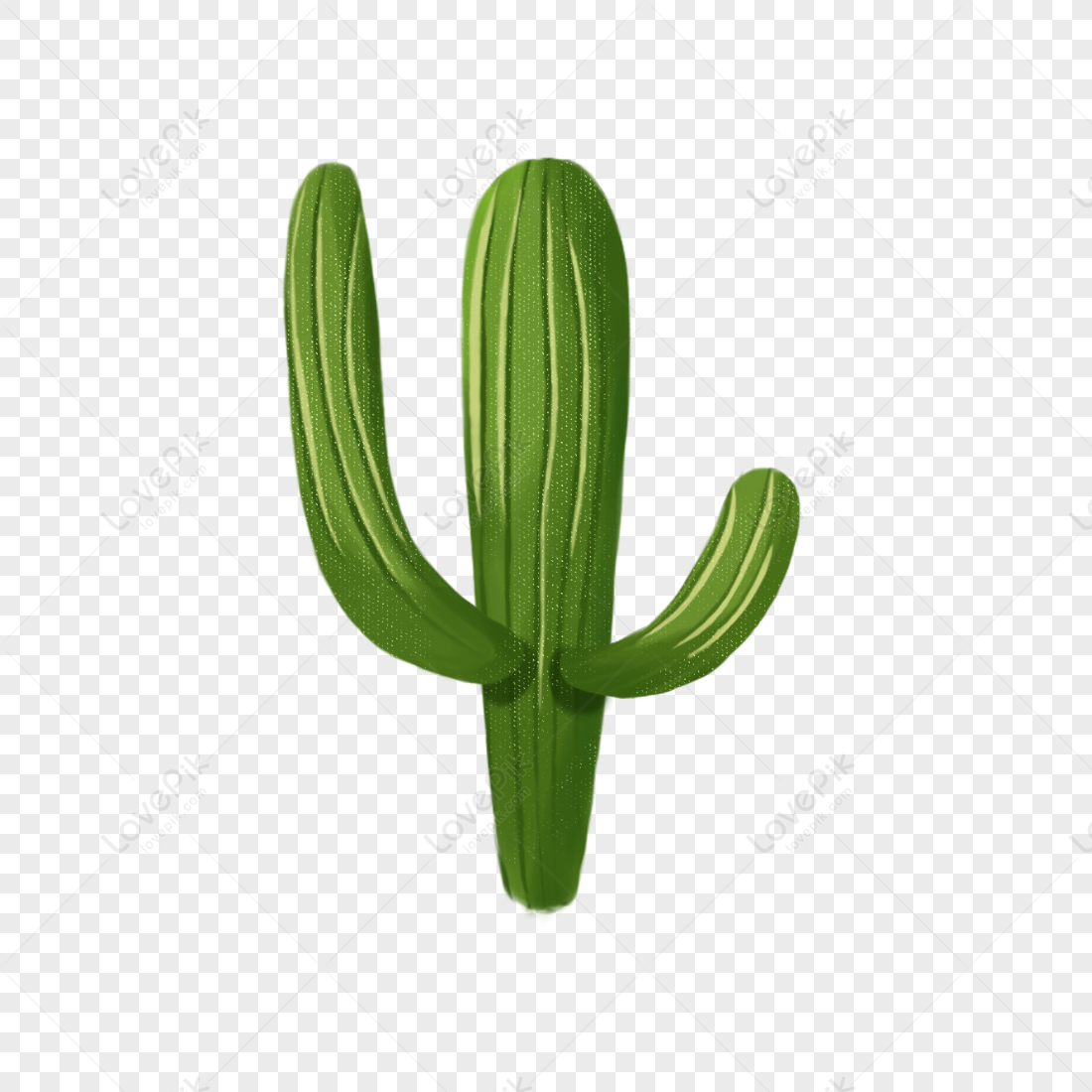 Cactus, Desenho, Coração png transparente grátis