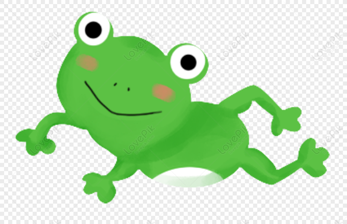 Rana Animalito Lindo Rana Rana De Dibujos Animados PNG, 50% OFF