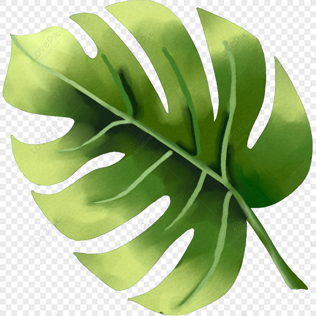 Cartoon Leaves PNG Picture And Clipart Image For Free Download - Lovepik |  400205005