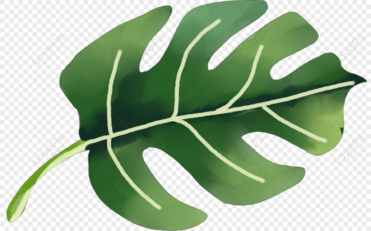 Cartoon Leaves PNG Free Download And Clipart Image For Free Download -  Lovepik | 400205193