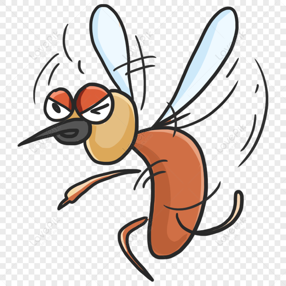 Anopheles PNG Transparent Images Free Download | Vector Files | Pngtree