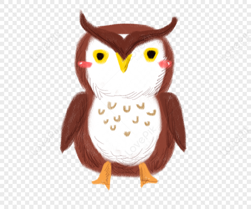 Cartoon Owl PNG Picture And Clipart Image For Free Download - Lovepik |  400175515