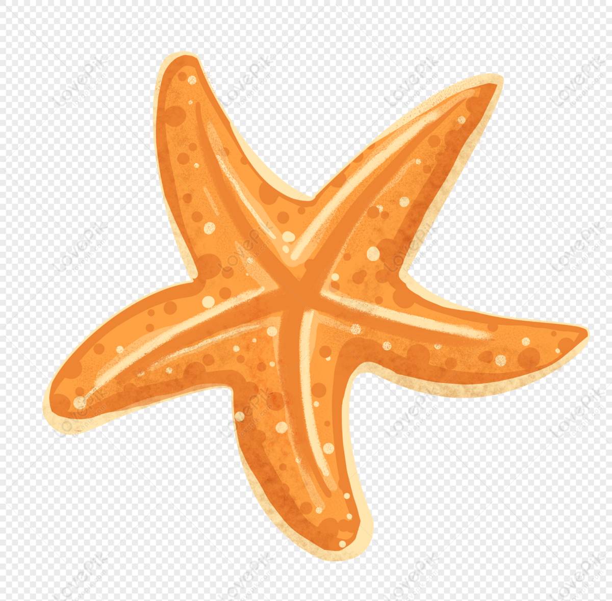 Cartoon Starfish PNG Image And Clipart Image For Free Download - Lovepik |  400252408