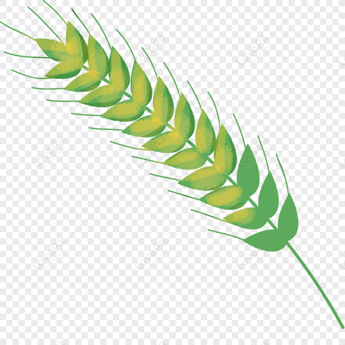 Cartoon Wheat PNG Picture And Clipart Image For Free Download - Lovepik |  400201605