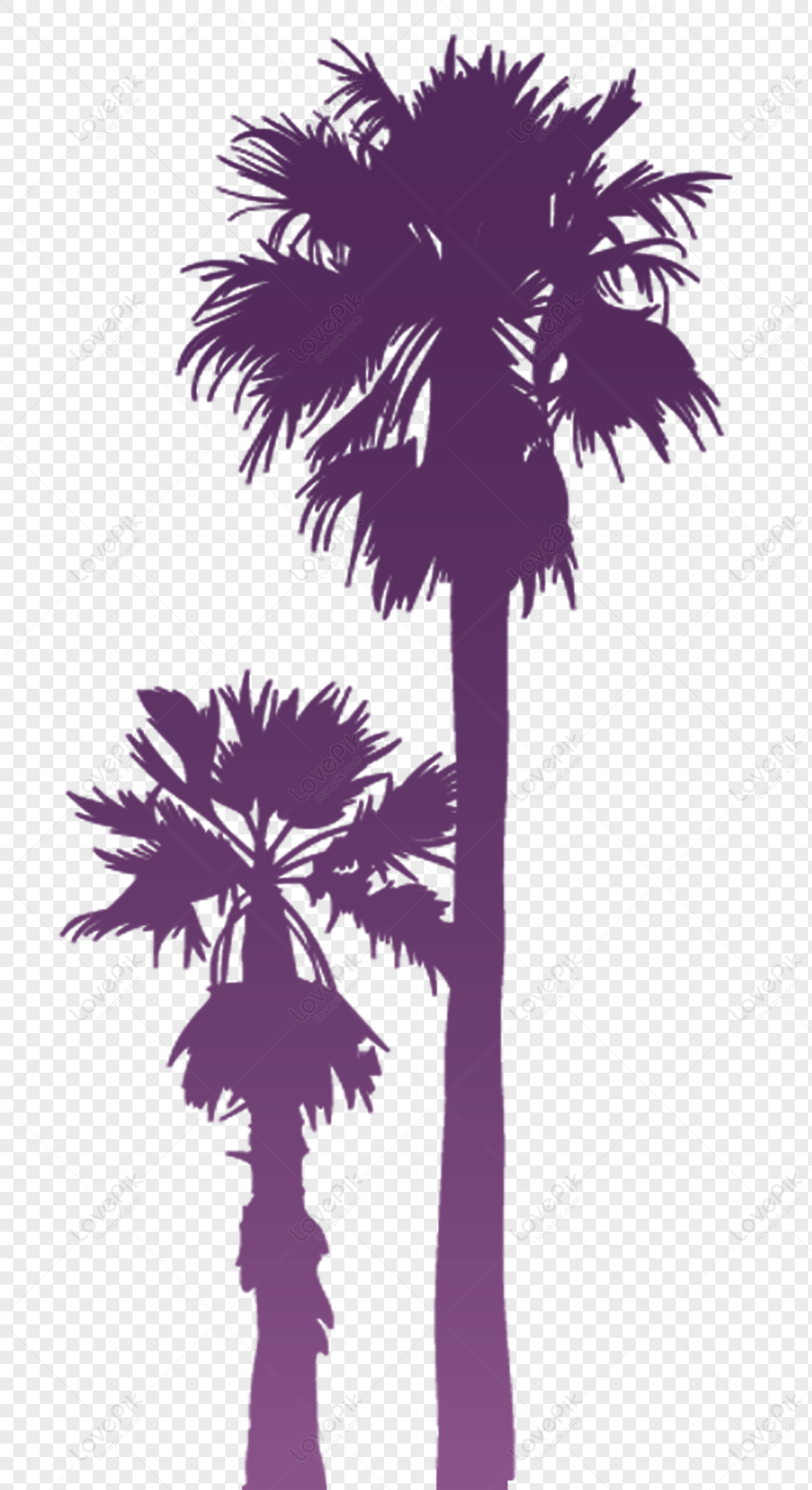 Coconut tree silhouette, tree, material, california silhouette png transparent background