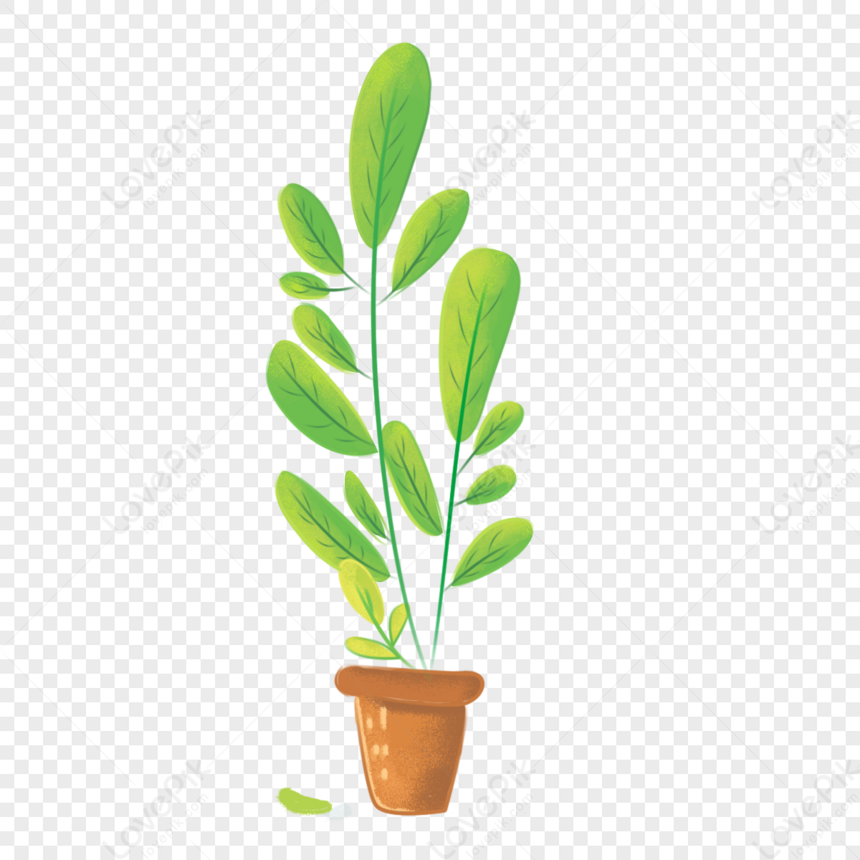 Cute Potted Green Plant PNG Hd Transparent Image And Clipart Image For ...