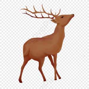 Deer PNG Images With Transparent Background | Free Download On Lovepik