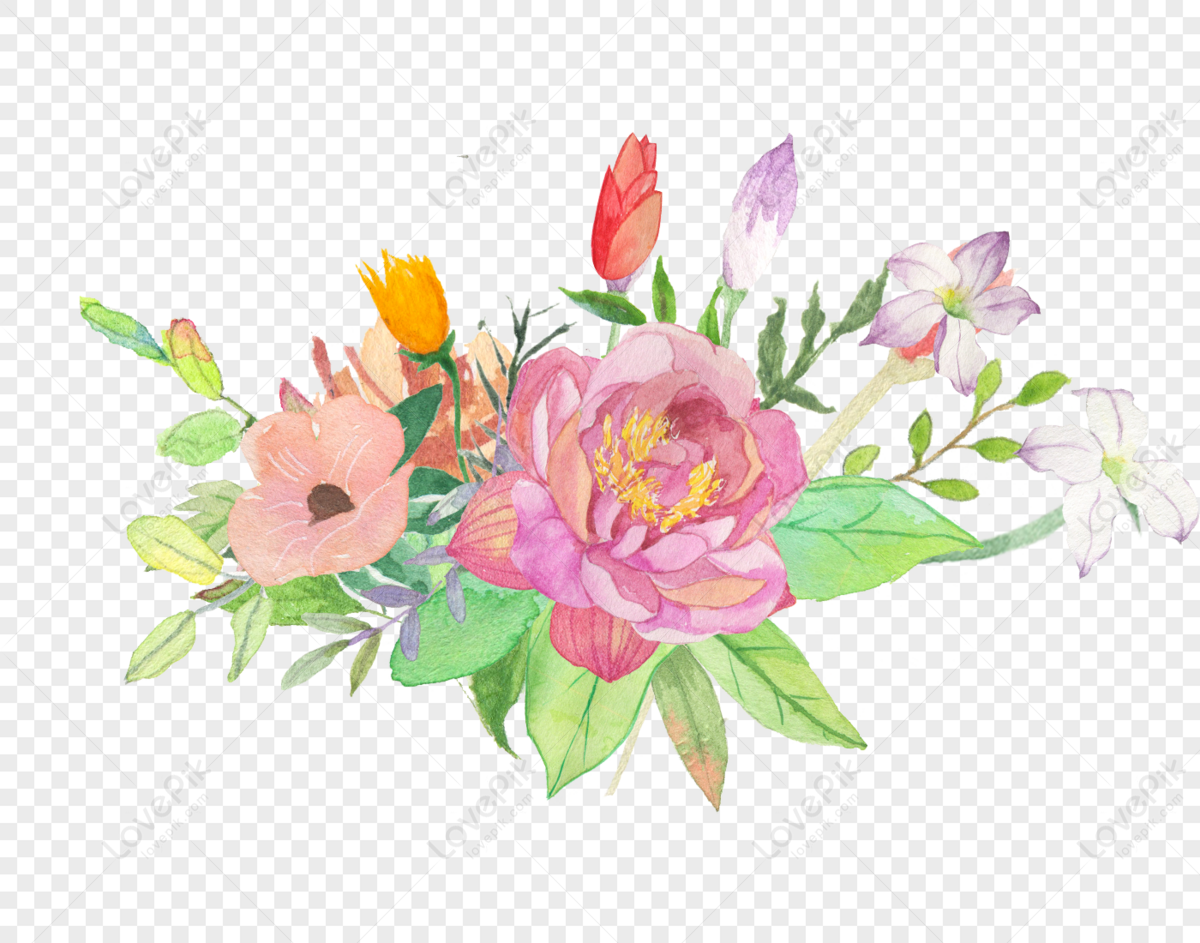 Flower Illustration Png Image And Psd File For Free Download Lovepik