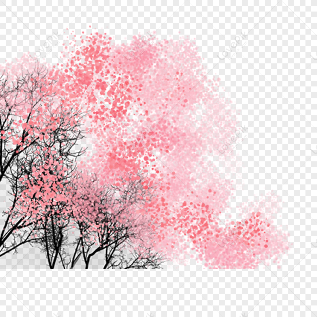 Flower, Light Red, Light Pink, Black Tree PNG Transparent Background ...