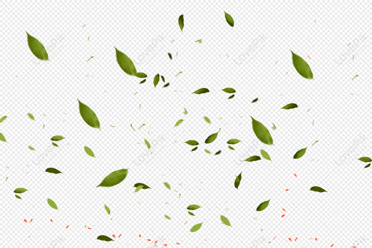 Fluttering leaves, flying, hand painting, leaves png white transparent