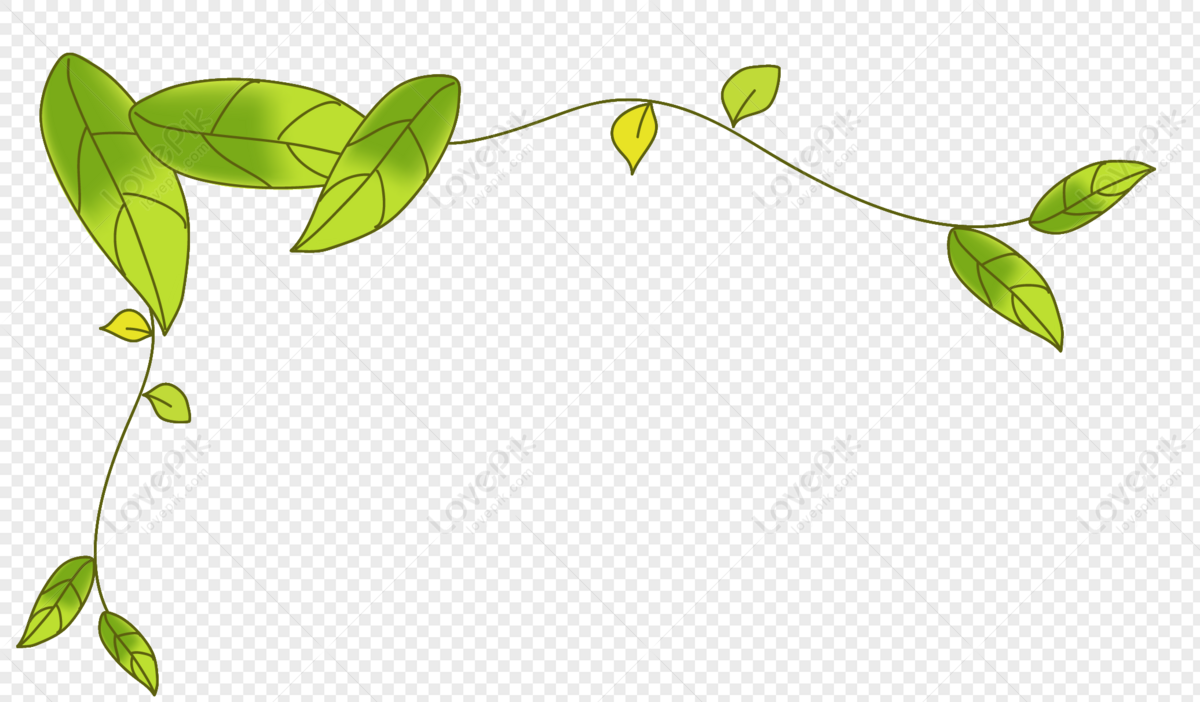 Green Vines PNG Hd Transparent Image And Clipart Image For Free Download -  Lovepik | 400227214