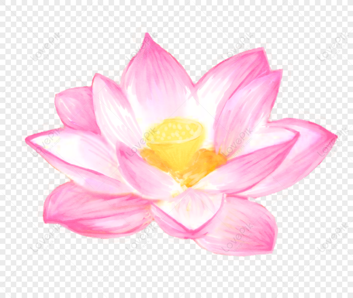 Lotus PNG là hình ảnh đôi họa mà bạn không nên bỏ qua! Với nền trắng trong suốt, bạn có thể sử dụng hình ảnh này để trang trí bất kỳ thiết kế nào, tạo ra một phong cách trang trí mới lạ và độc đáo. Hãy xem hình ảnh liên quan để tìm hiểu thêm về Lotus PNG nhé!