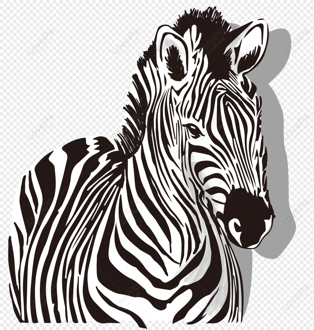 Zebra Head PNG Images With Transparent Background | Free Download On Lovepik