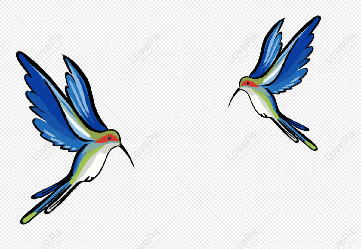 Premium Vector | Hummingbird logo template