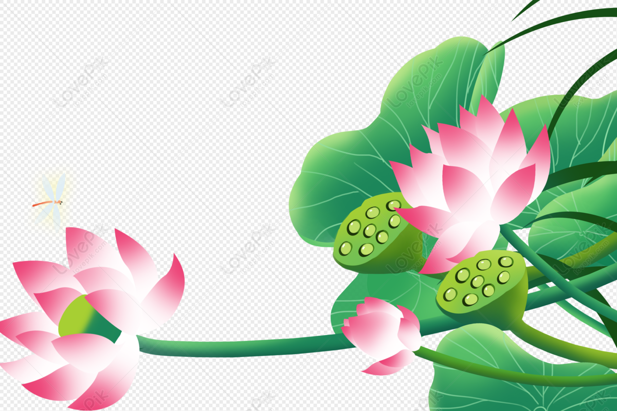 Hình ảnh Lotus Trang Sức PNG Miễn Phí Tải Về - Lovepik