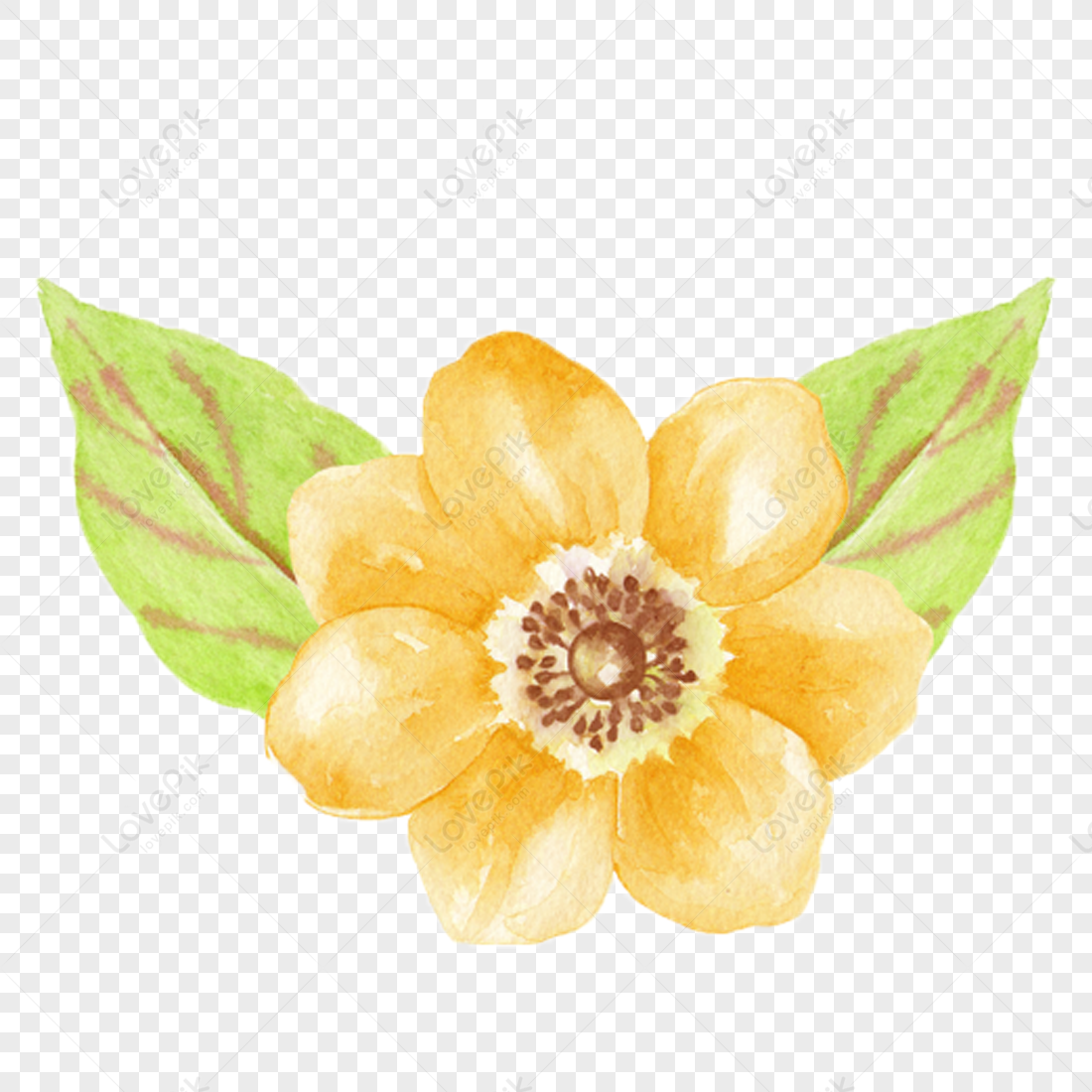 Flores Decorativas PNG Imágenes Gratis - Lovepik