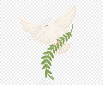 Peace Dove PNG Images With Transparent Background | Free Download On Lovepik