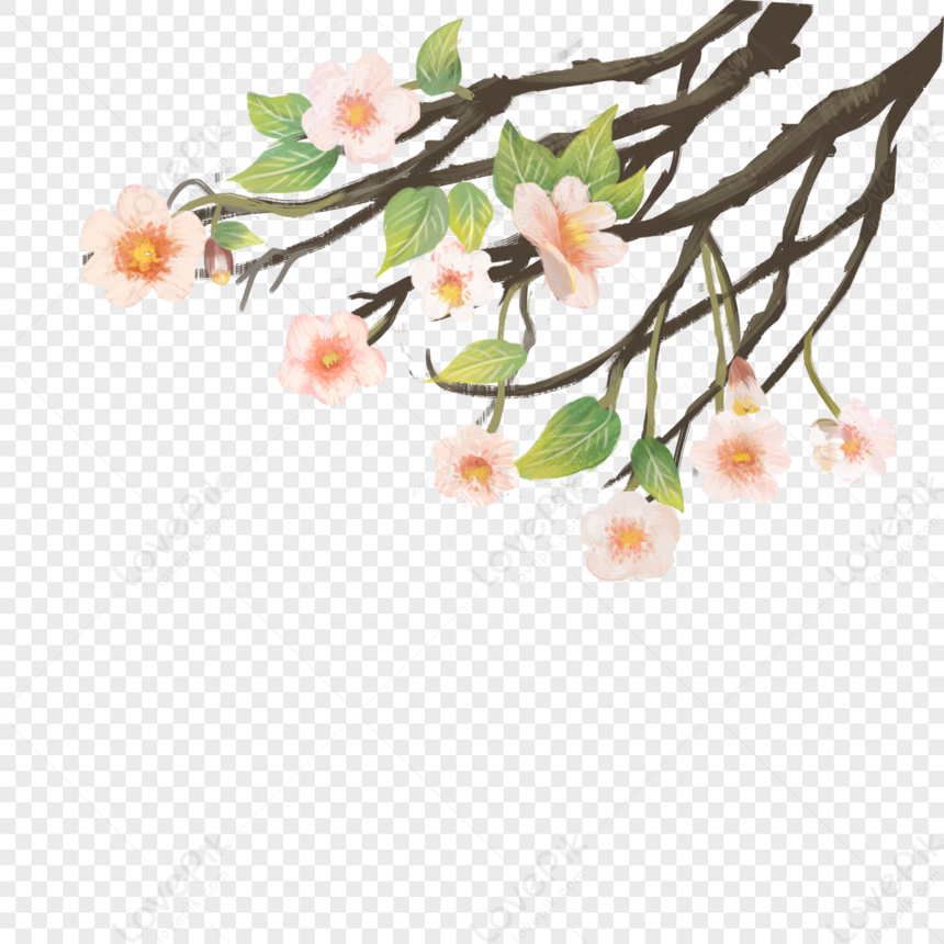 Peach Blossom Branch, Brown Light, Branch Green, Spring PNG Hd ...