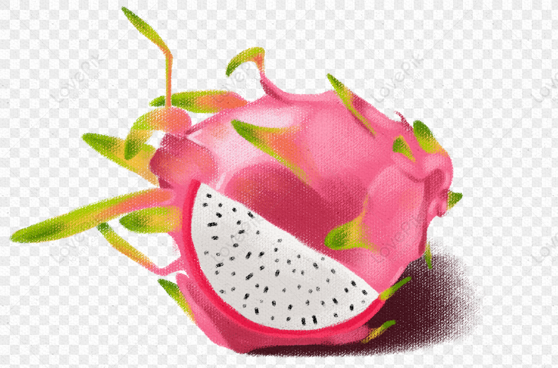 Pitaya PNG Transparent Background And Clipart Image For Free Download ...