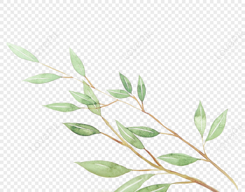 Plants PNG White Transparent And Clipart Image For Free Download ...