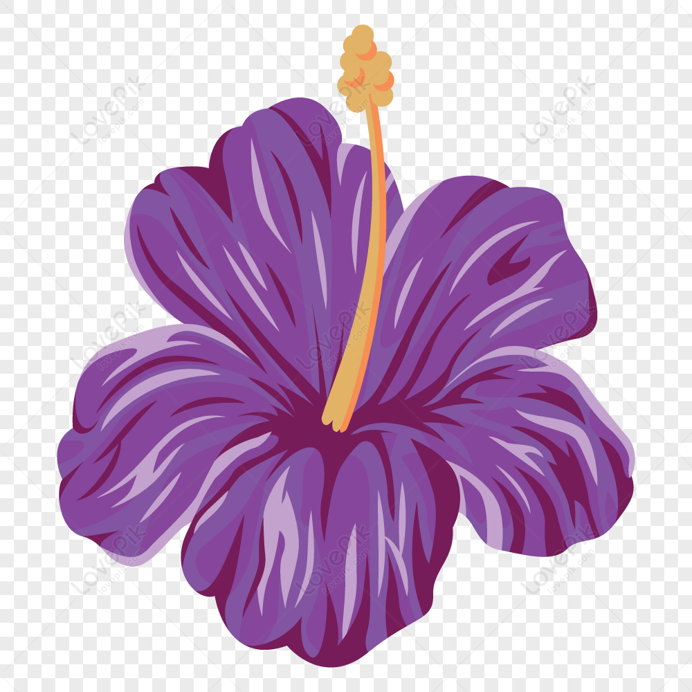 Flor Morada PNG Imágenes Gratis - Lovepik