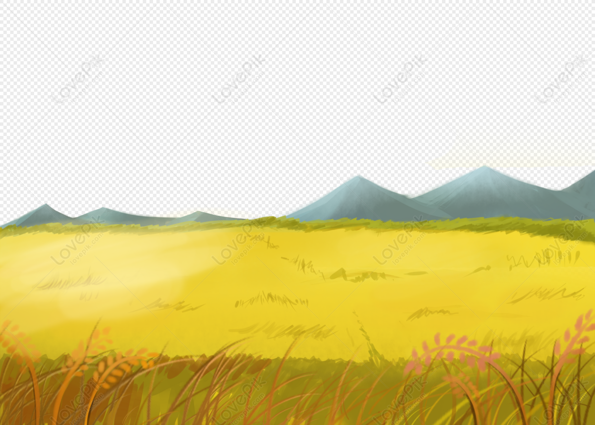 Cartoon Rice Field PNG Images With Transparent Background | Free Download  On Lovepik