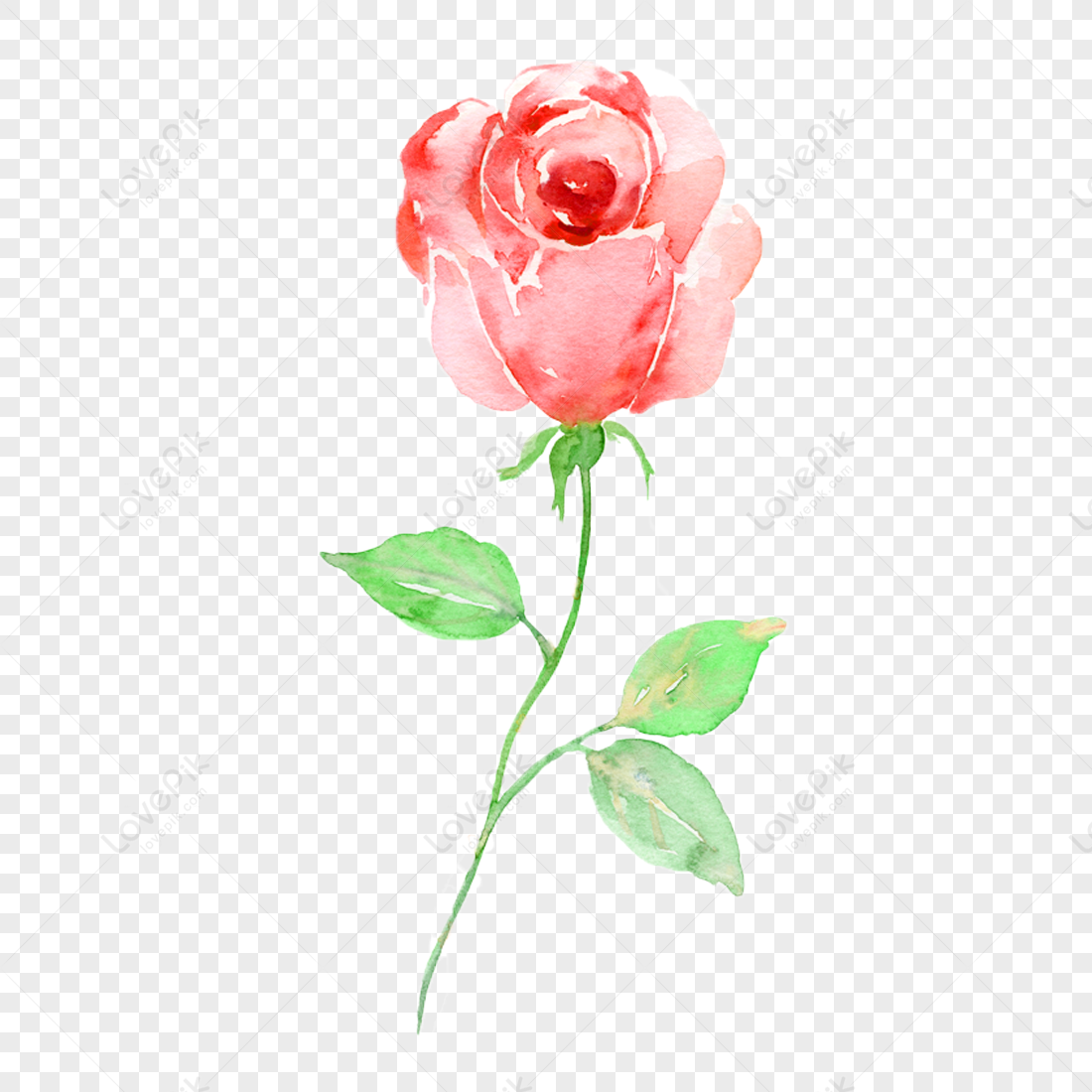 Cuadros De Flores Decorativas De Rosas Y Rosas Plantilla PNG Descarga Gratuita - Lovepik