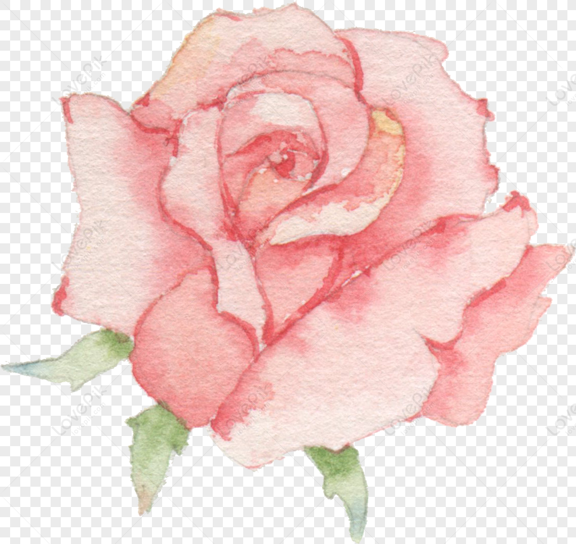 絵画/タペストリー水彩玫瑰
