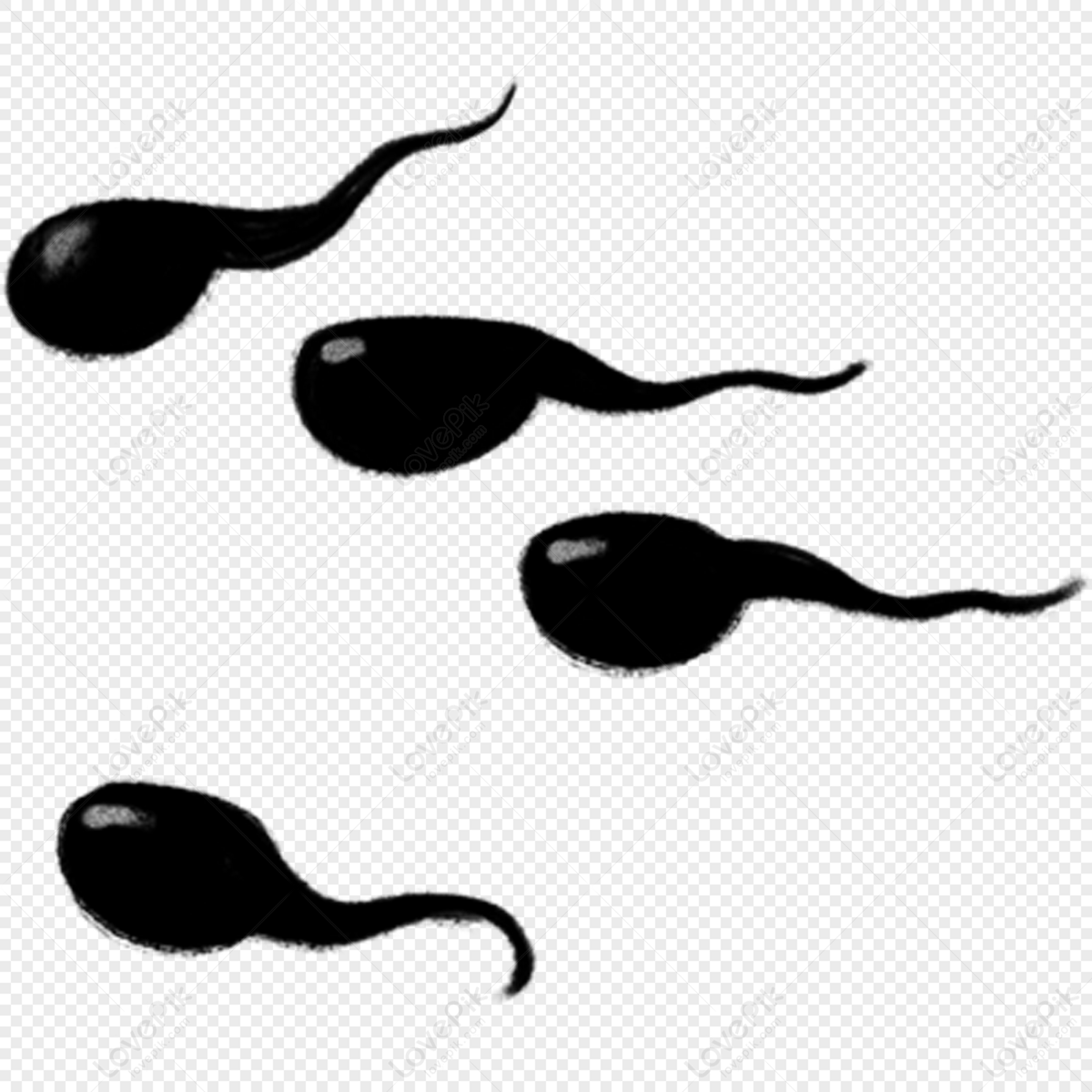 tadpole clip art black and white