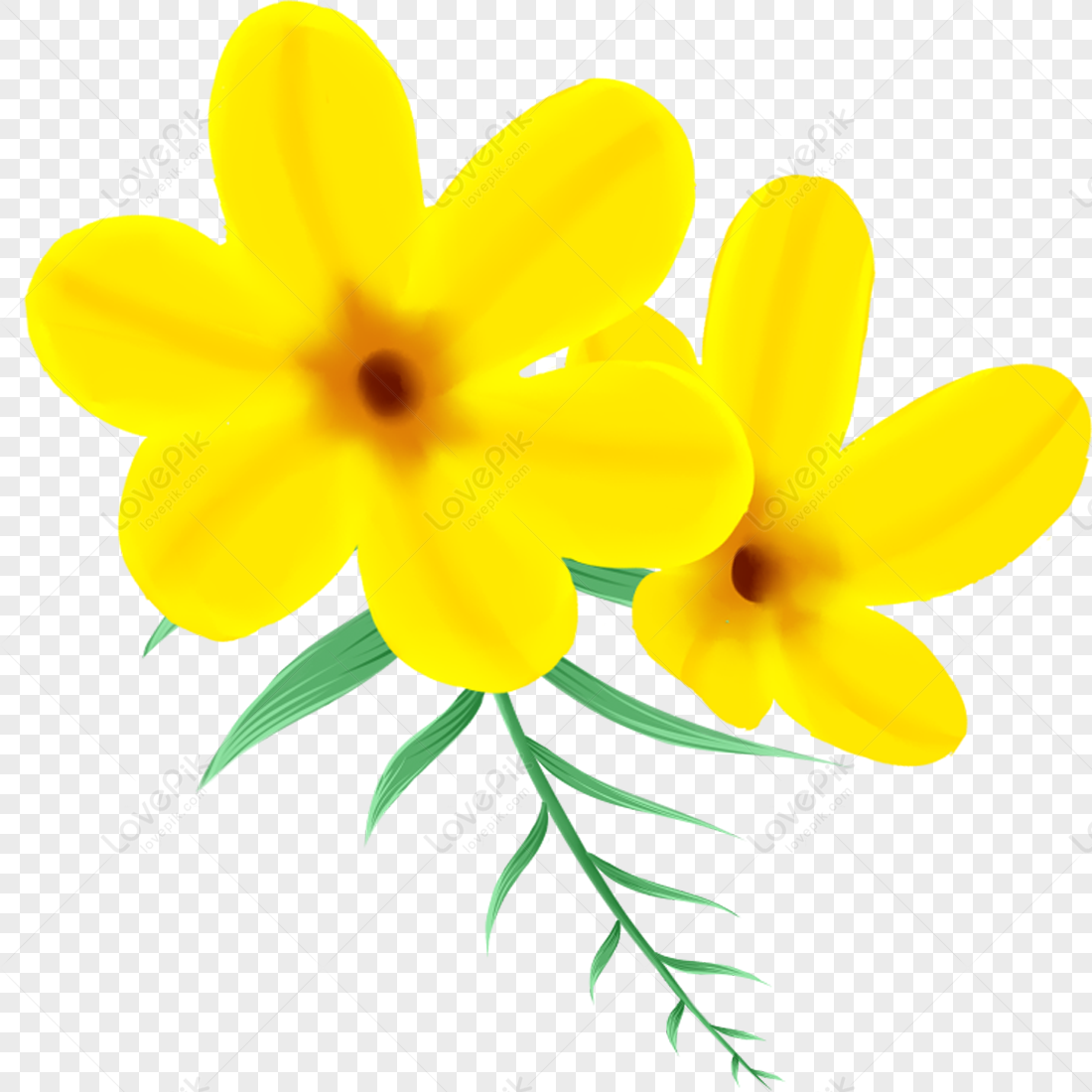 Flor Amarilla PNG Imágenes Gratis - Lovepik