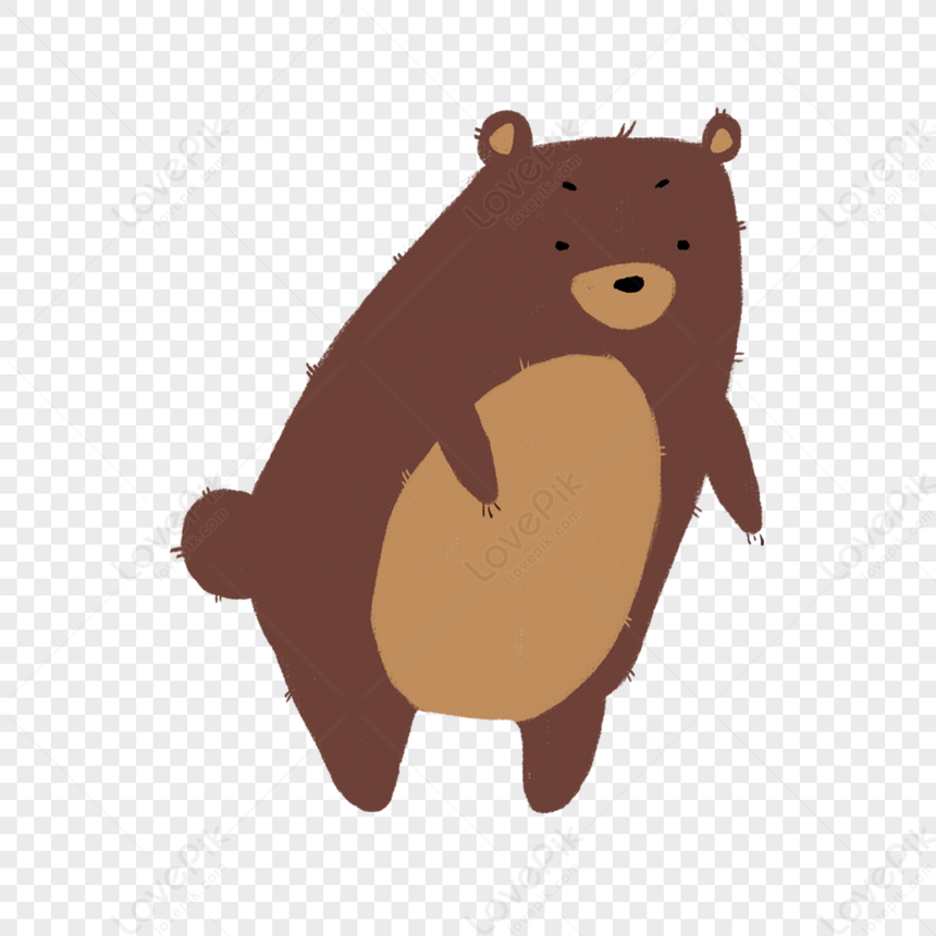 The Bear Bear Cute Bear Illustration Bear Cartoons Png Transparent Background And Clipart