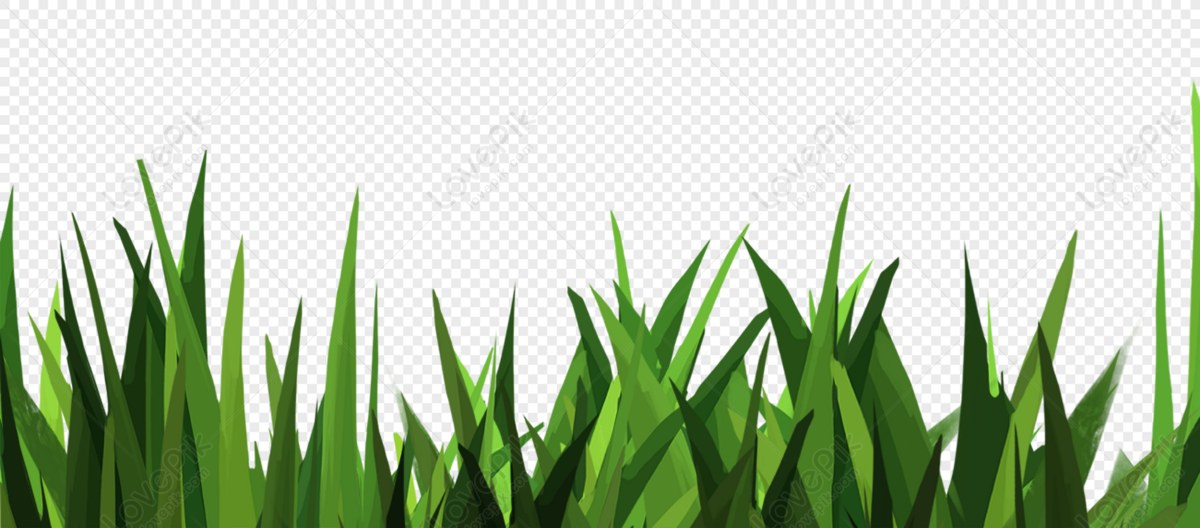 Thick Growth Of Grass, Grass, Grass Material, Plants PNG Hd Transparent ...